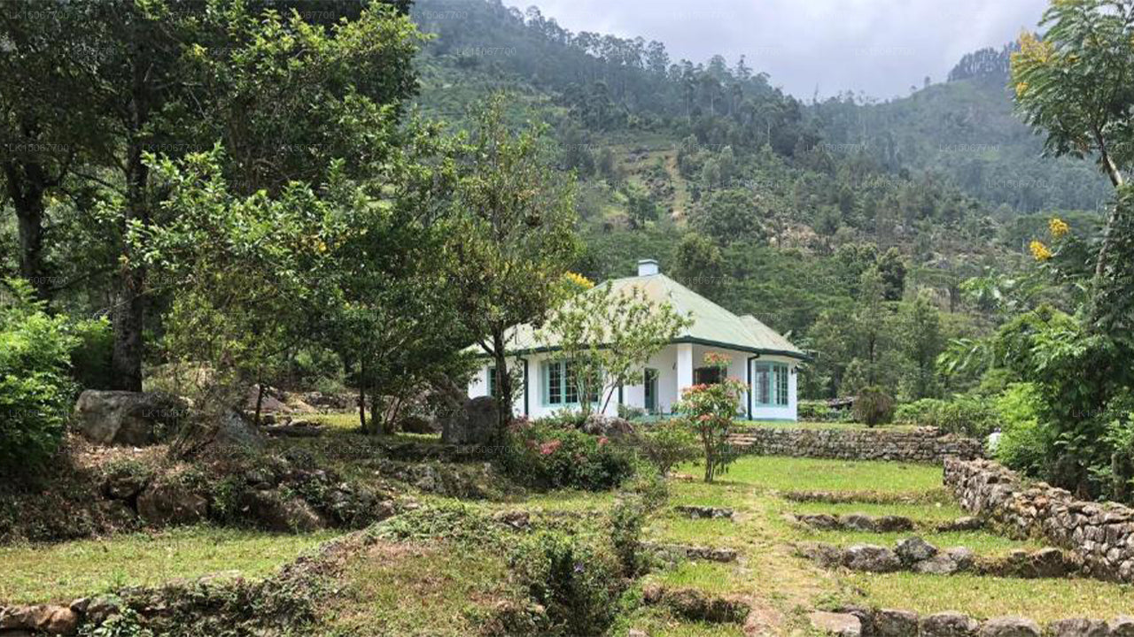 Mihidum Market, Haldummulla