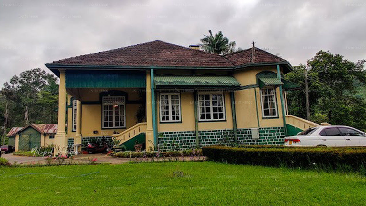 Upper Glencairn Bangalow Ceybank Hotel