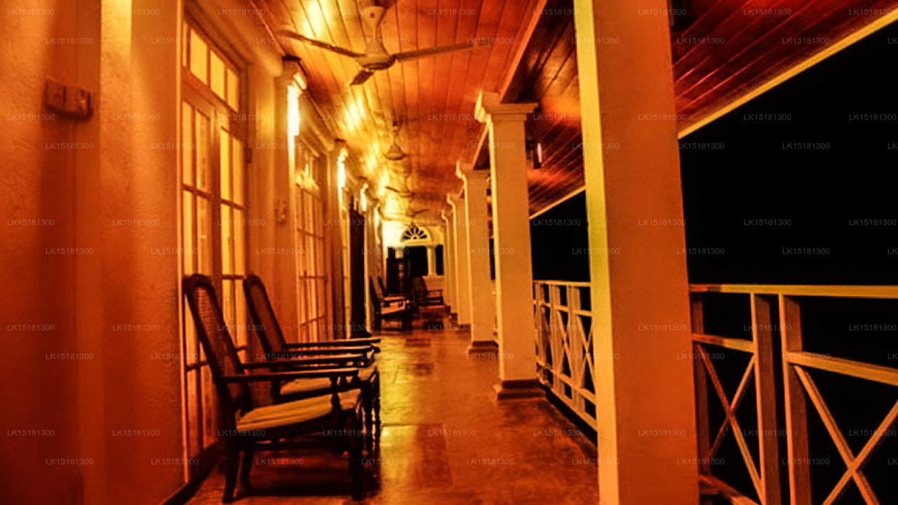 Lesní okraj, Kitulgala