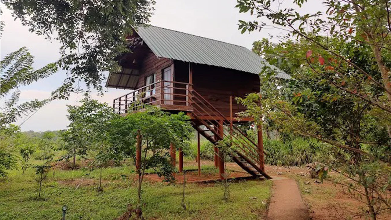 Chena Huts Eco Resort, Sigiriya