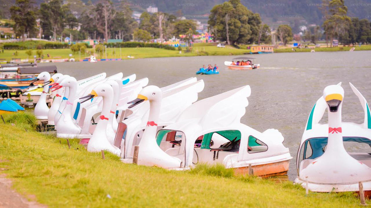 Aruna Resort, Nuwara Eliya