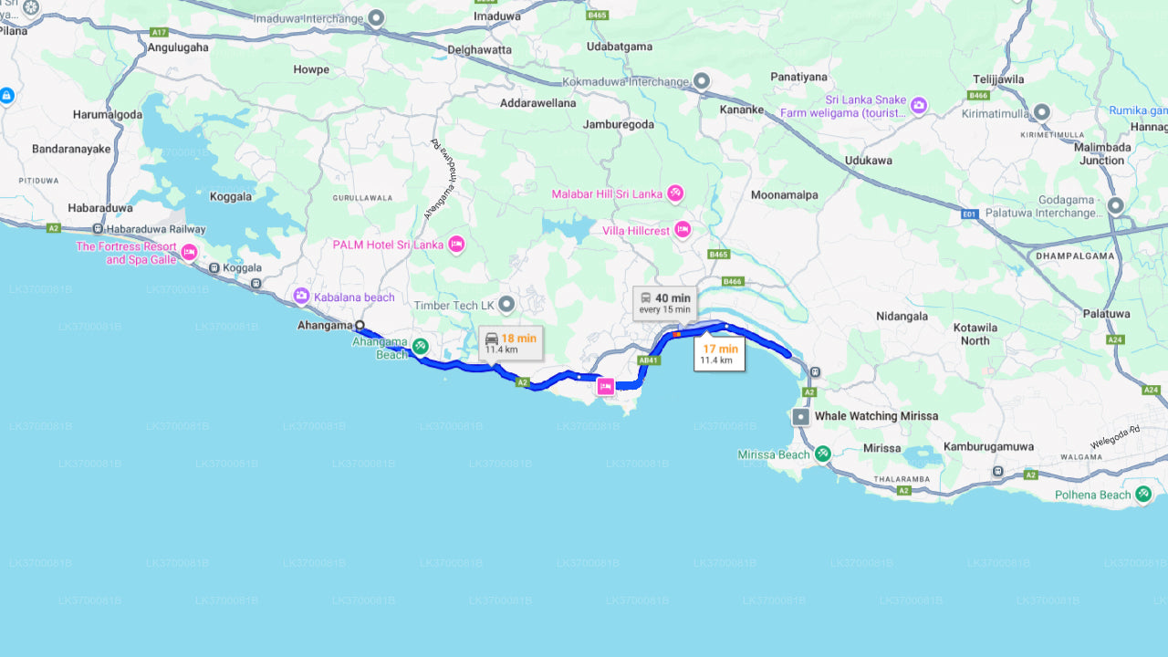 Pozorování velryb z Ahangamy na sdílené lodi