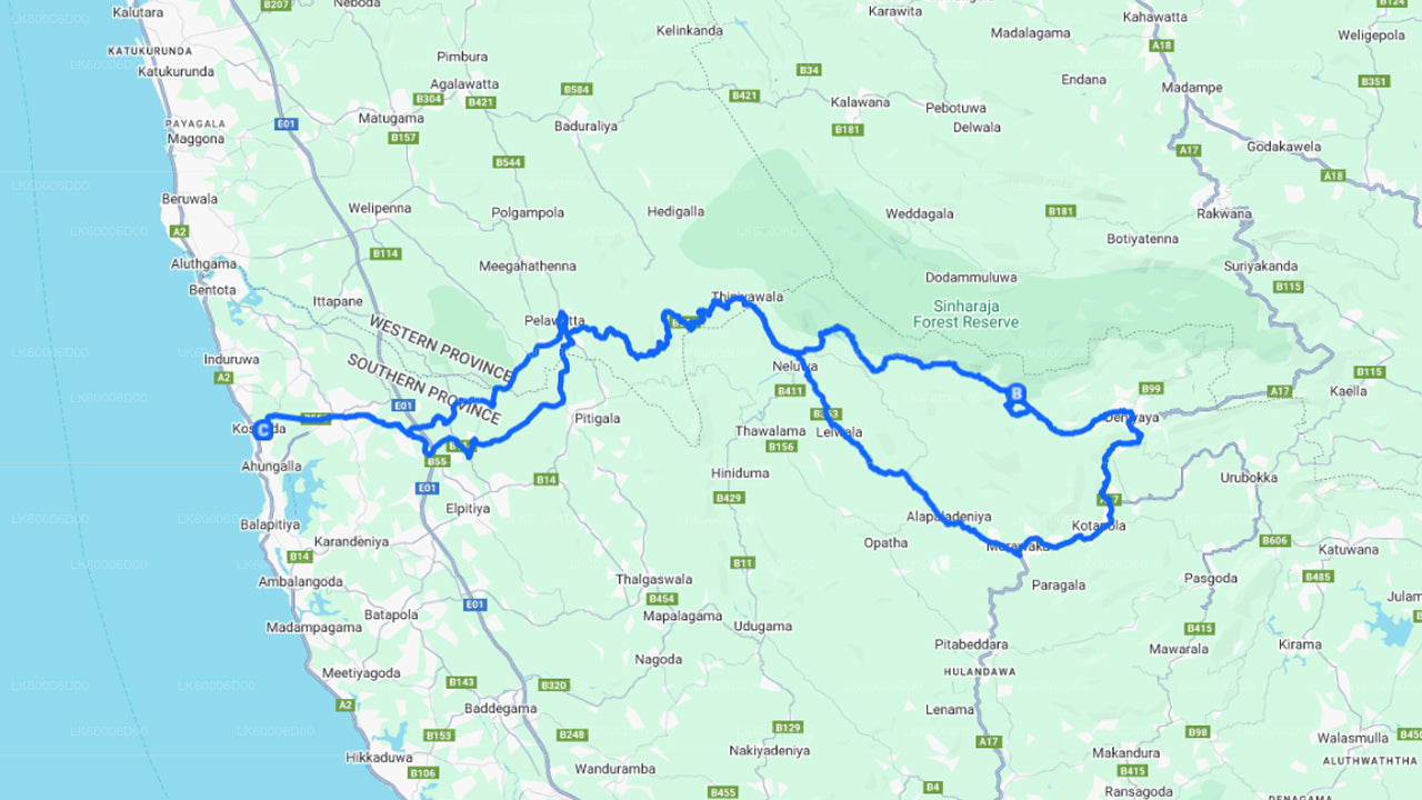 Prohlídka deštného pralesa Sinharaja s průvodcem z Kosgody
