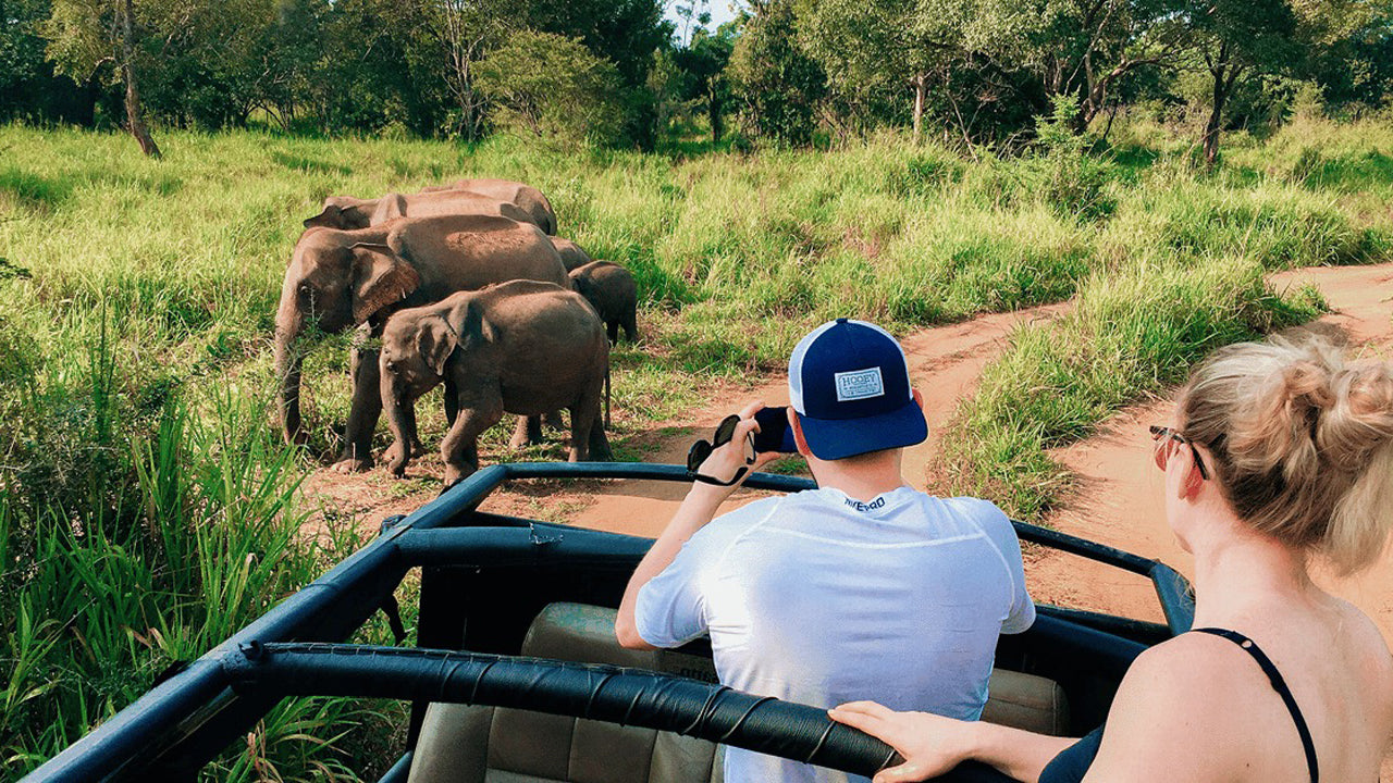 Polonnaruwa Heritage a Hurulu Eco Park Safari z Pasikudy