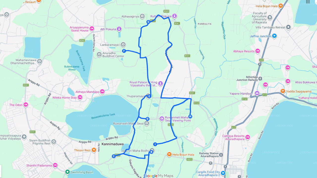 Posvátné město Anuradhapura z Colomba