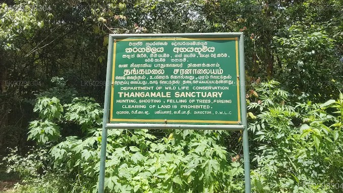 Adisham Bungalow & Thangamale Bird Sanctuary from Haputale