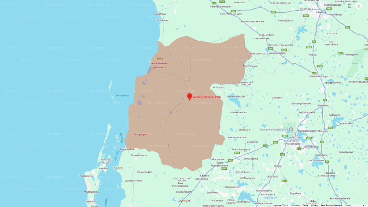 Vstupenky do národního parku Wilpattu