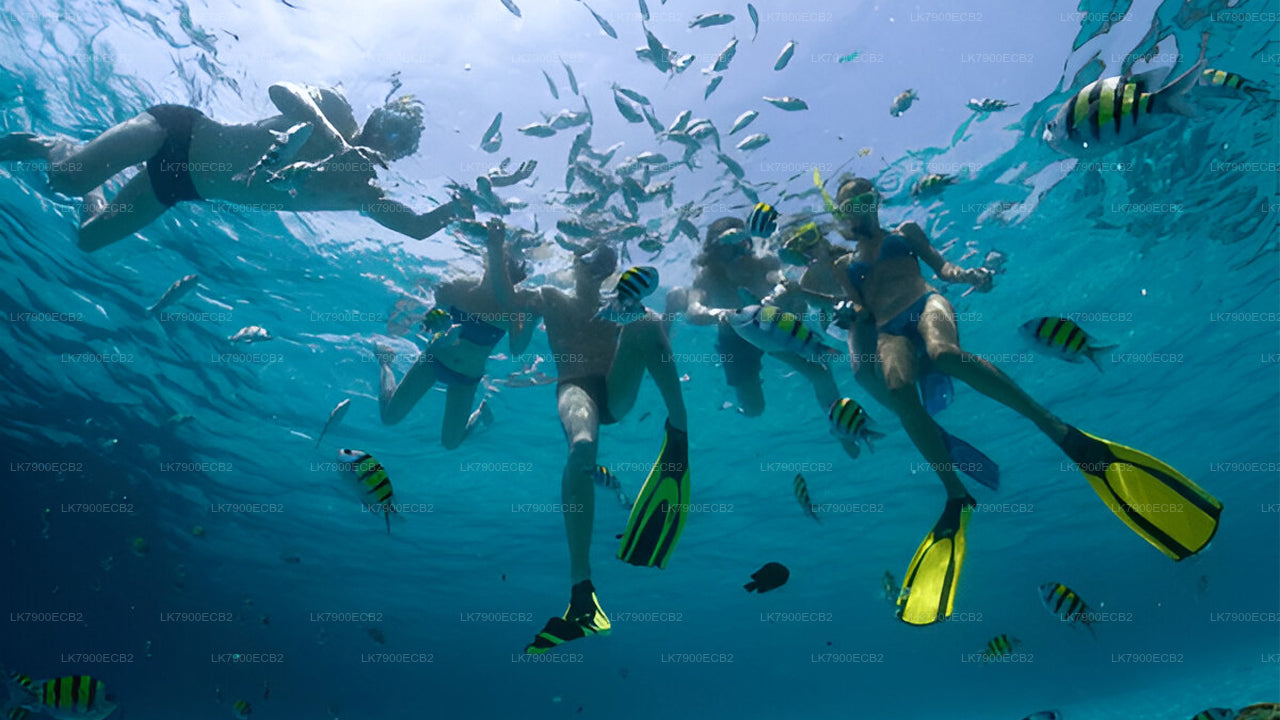 Dvoudenní plavba z Mirissy na lodi Ocean Diamond