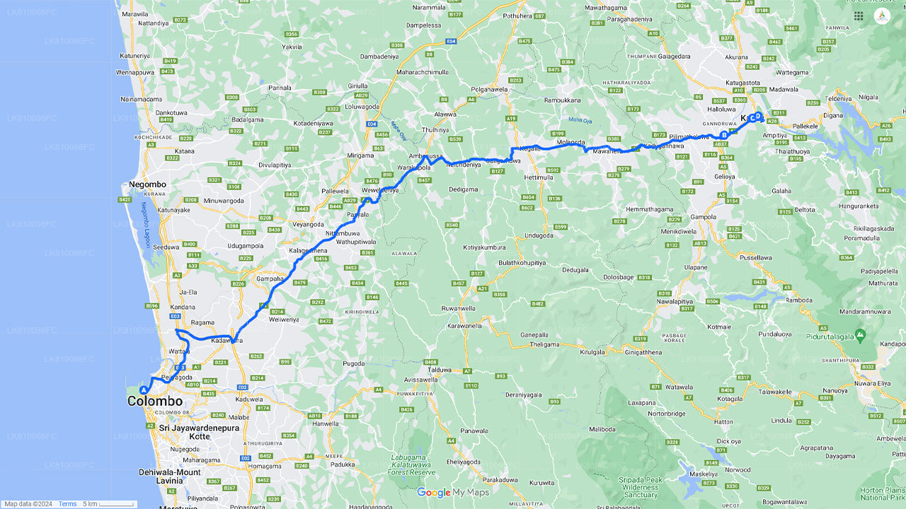 Kandy City Tour from Colombo Seaport