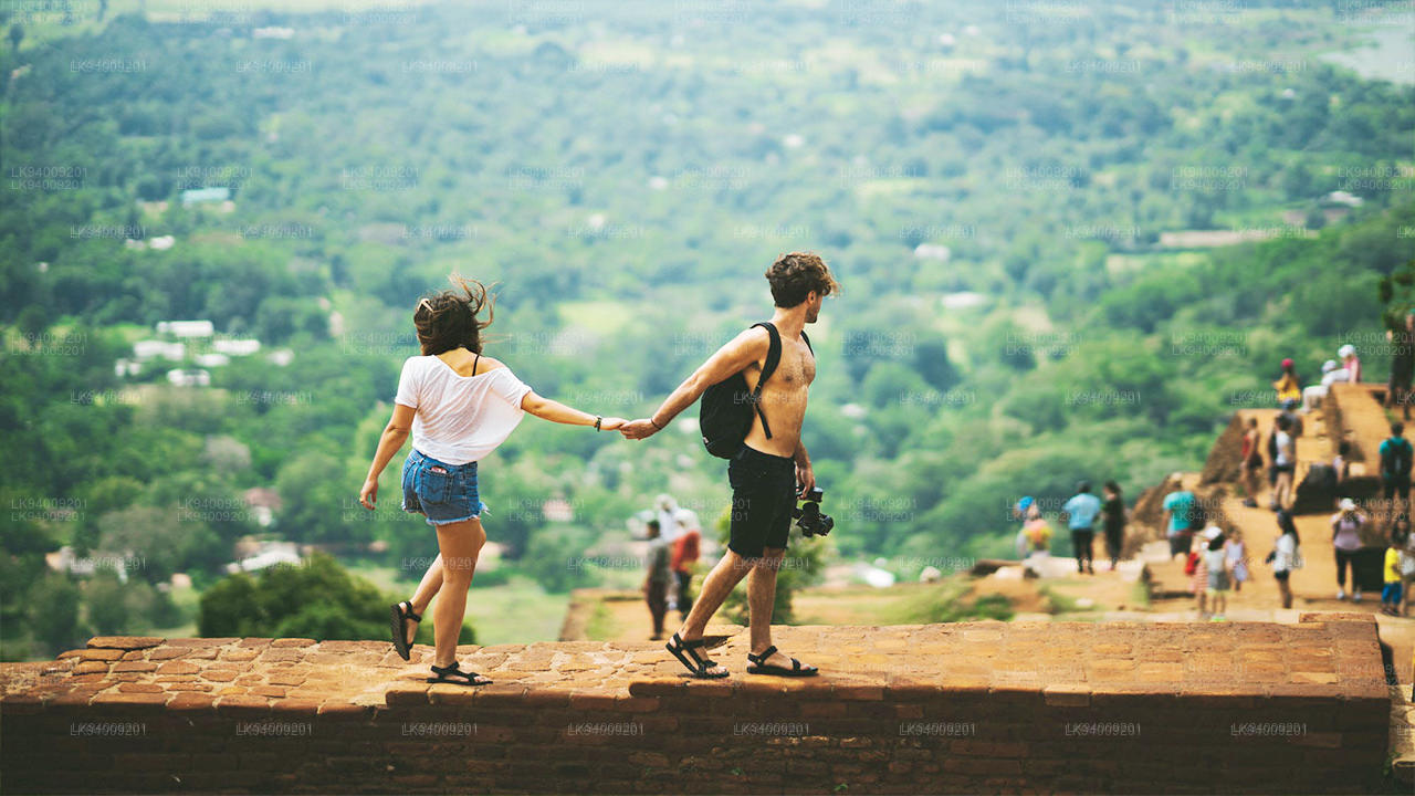 Prázdninový bungalov Puhulyaya