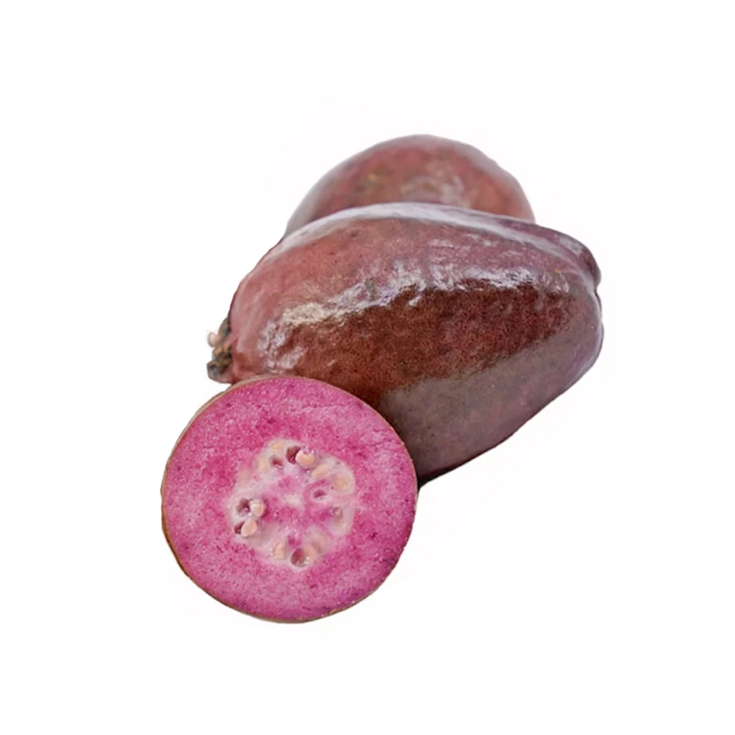 Ovocná rostlina Lakpura Purple Guava