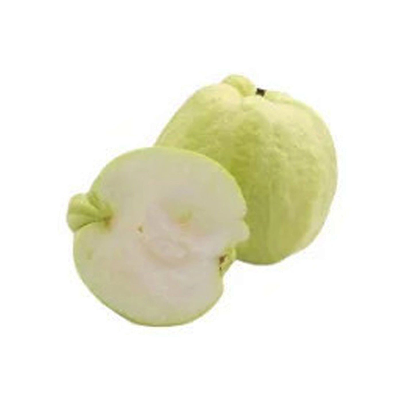 Ovocná rostlina Lakpura White Apple Guava