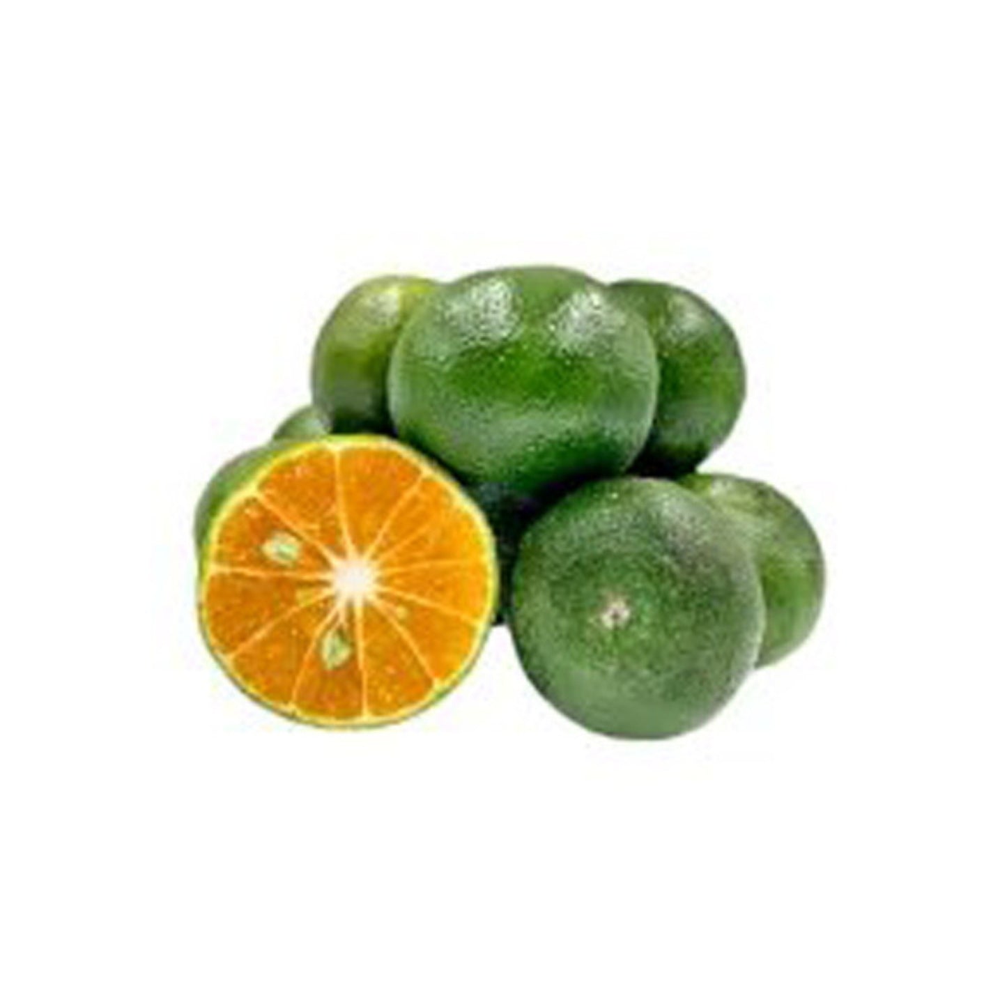 Naroubovaná rostlina Lakpura Nas Narang