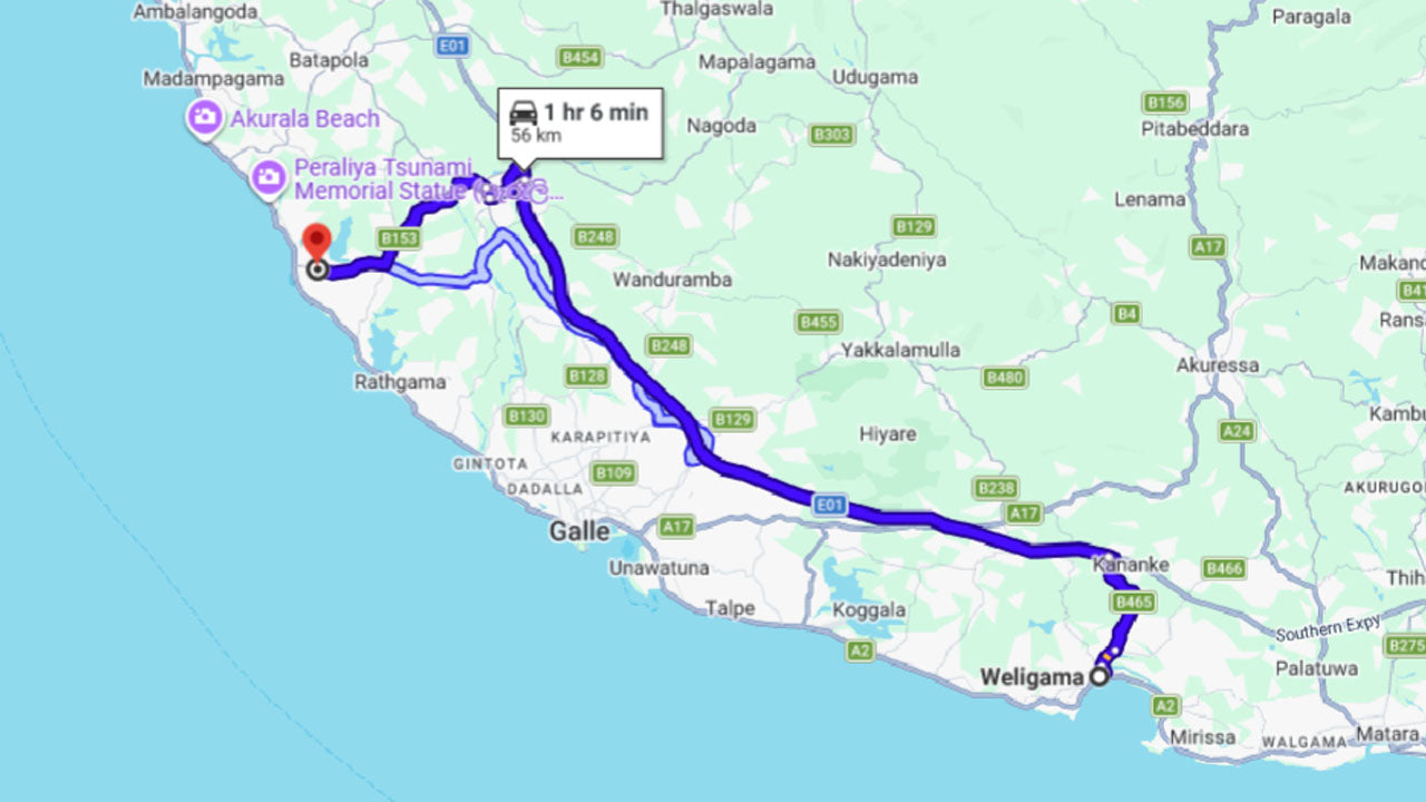 Vypuštění mláďat želvy z Weligamy