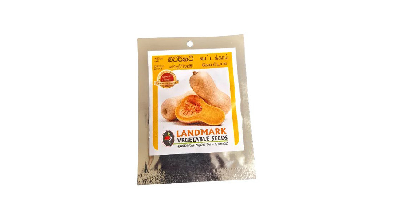 Lakpura Butternut Seeds