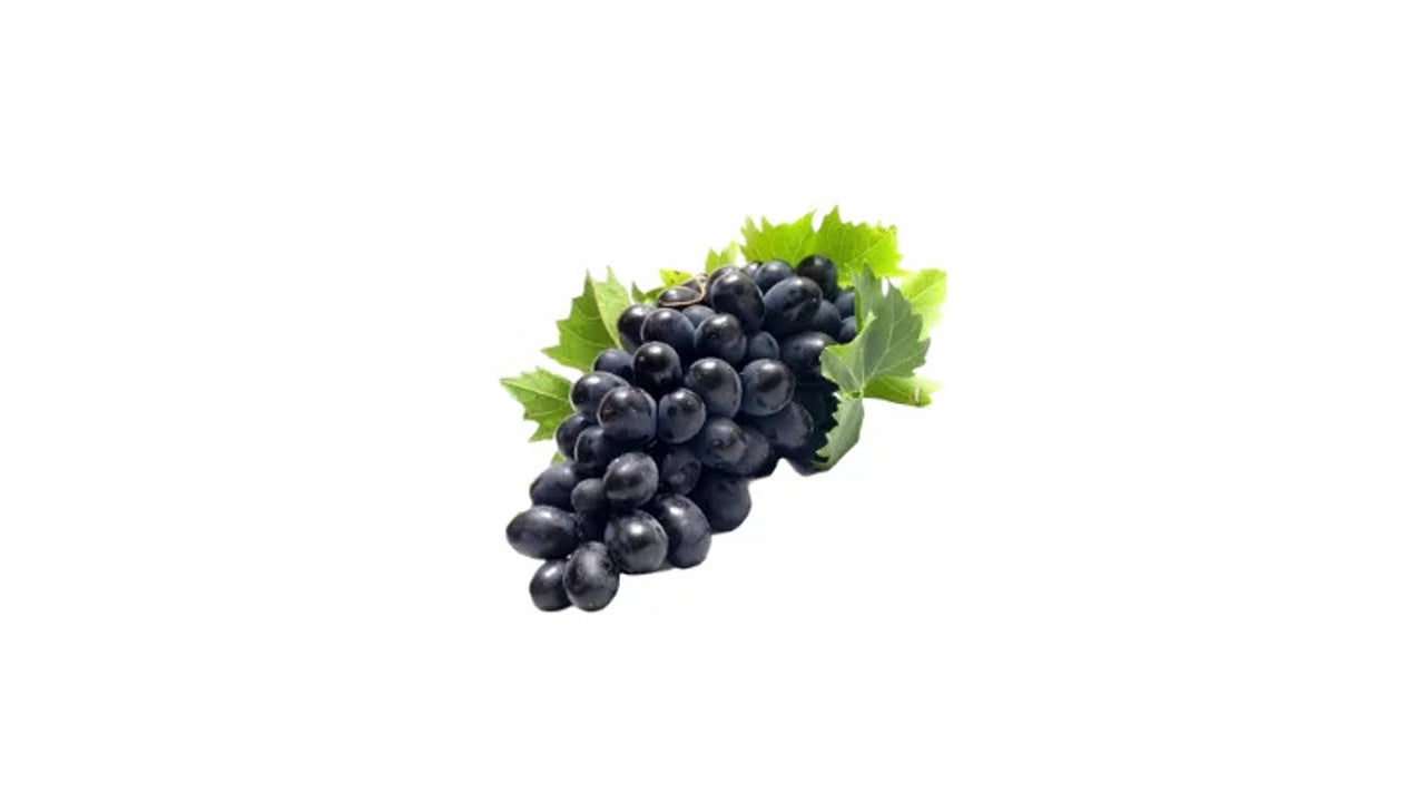 Lakpura Israel Black Grapes Plant
