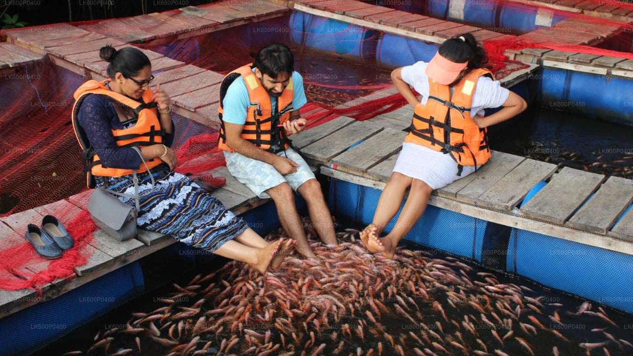 Prohlídka města Bentota z Galle