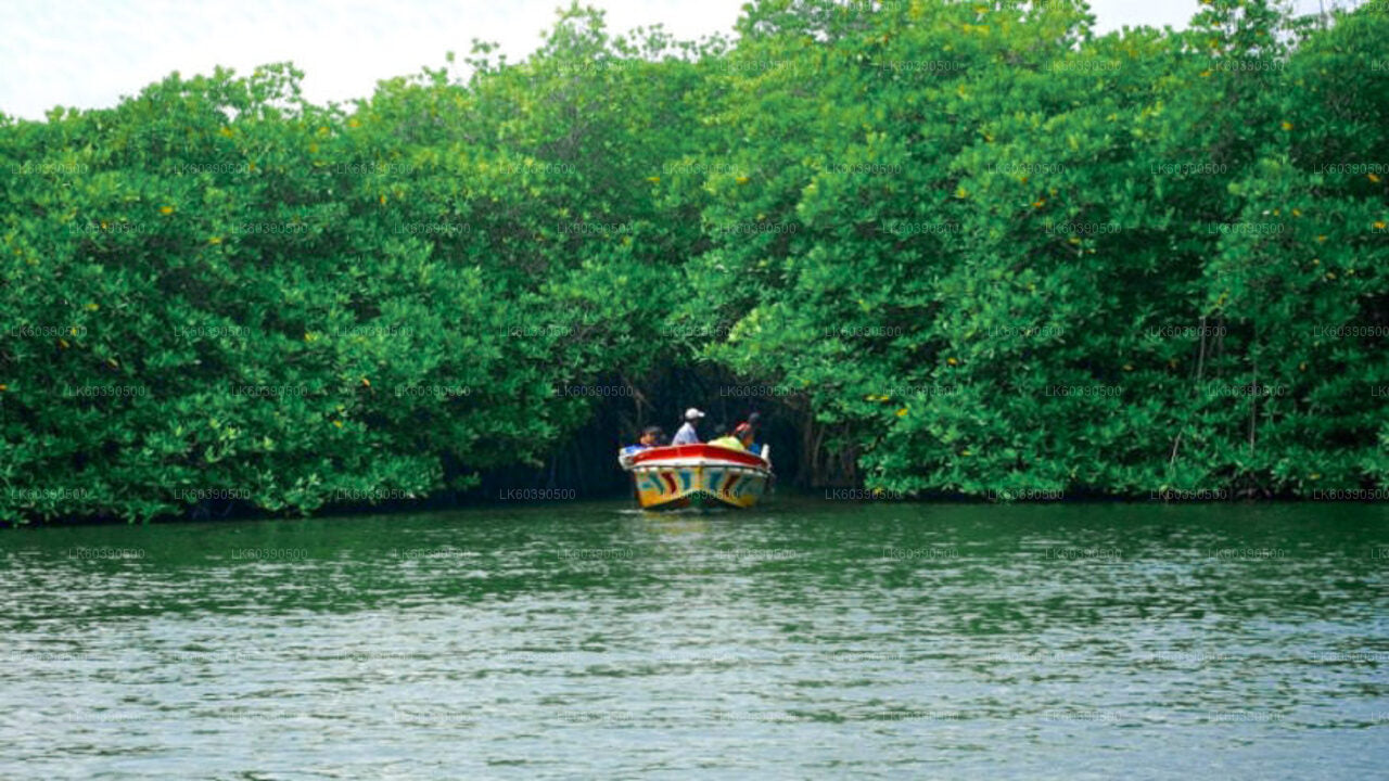 Hlavní památky jižního pobřeží a říční safari z Balapitiya