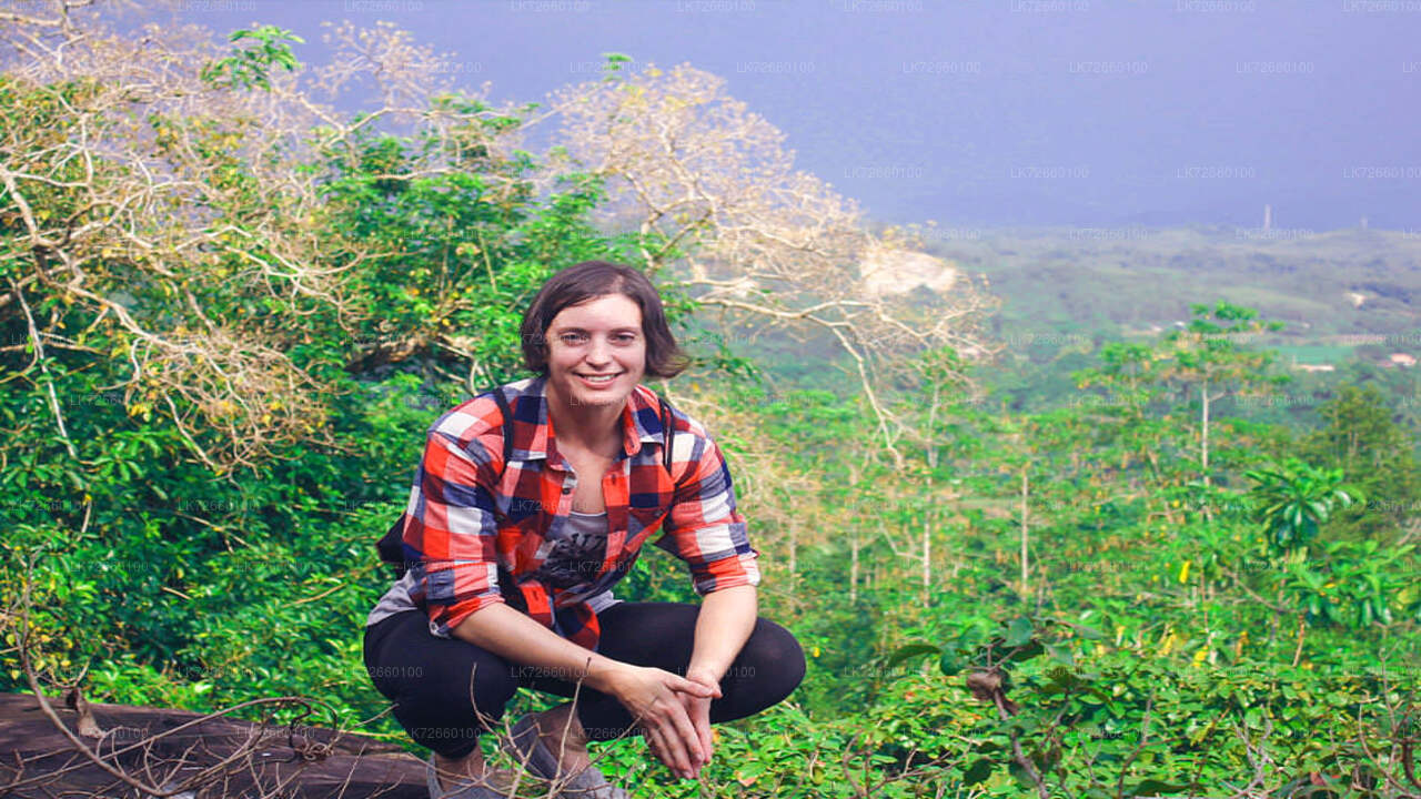 Forest Rock Climbing from Mount Lavinia