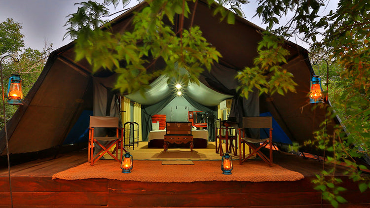 Camping from Yala National Park