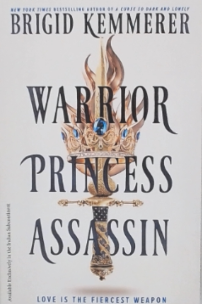 Warrior Princess Assassin