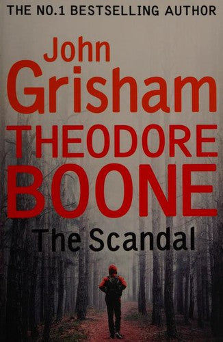 Theodore Boone the Scandal
