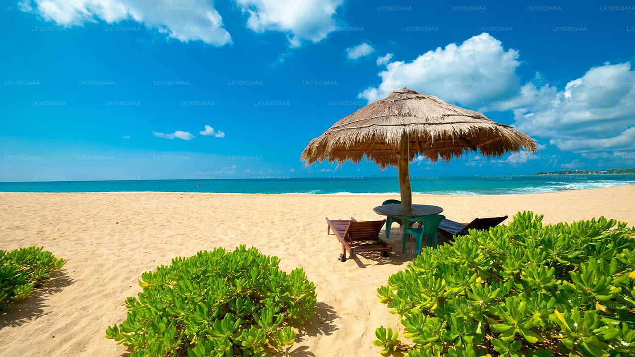 Objevte Srí Lanku s Maheshem Abeyratnem