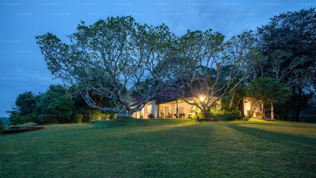 Lunuganga Estate,Turtles and Madu River from Galle City