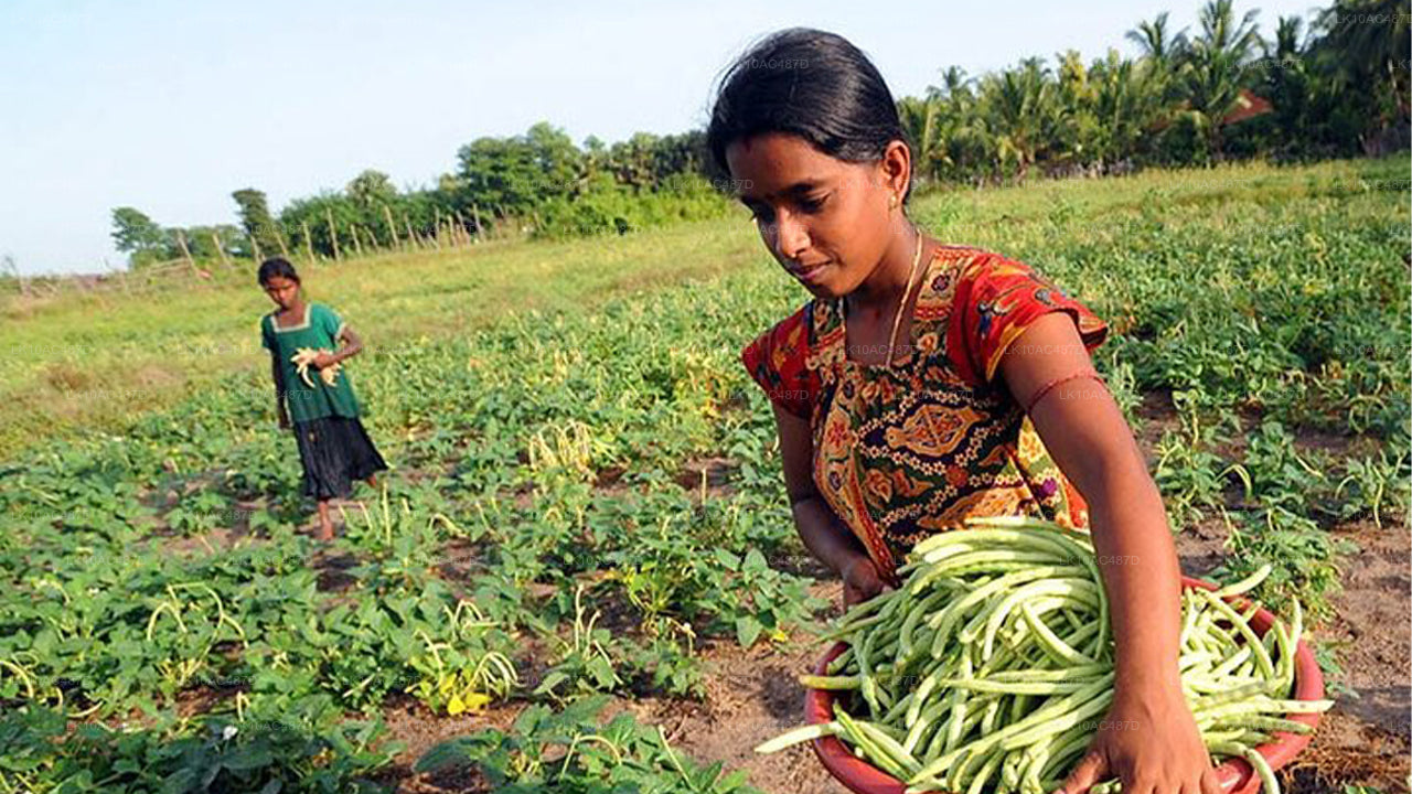 Udržitelný zájezd (10 dní)
