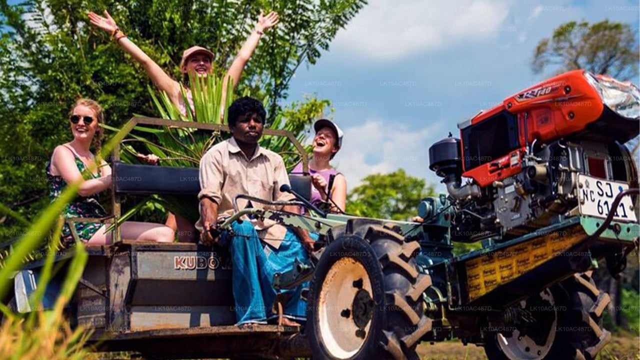 Udržitelný zájezd (10 dní)