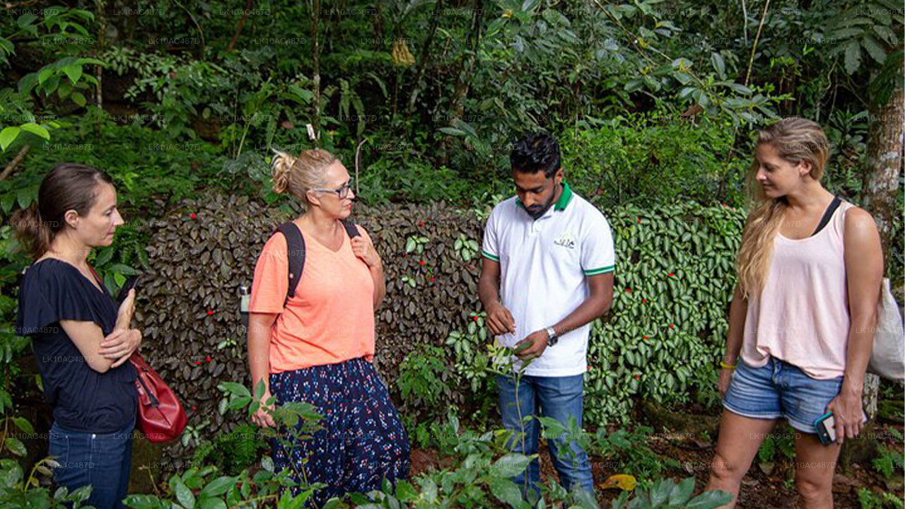 Udržitelný zájezd (10 dní)