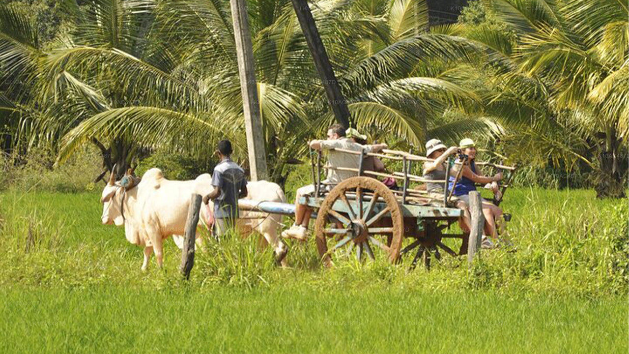 Udržitelný zájezd (10 dní)