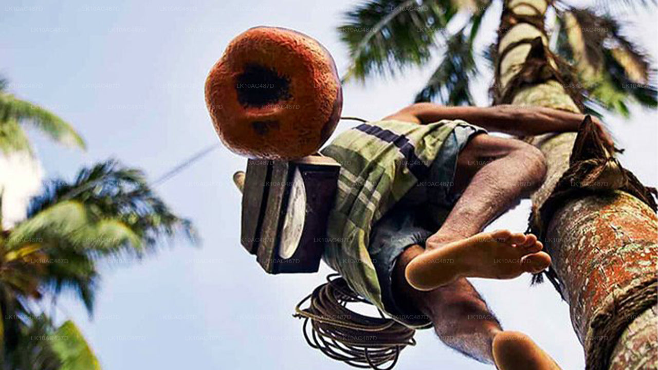 Udržitelný zájezd (10 dní)