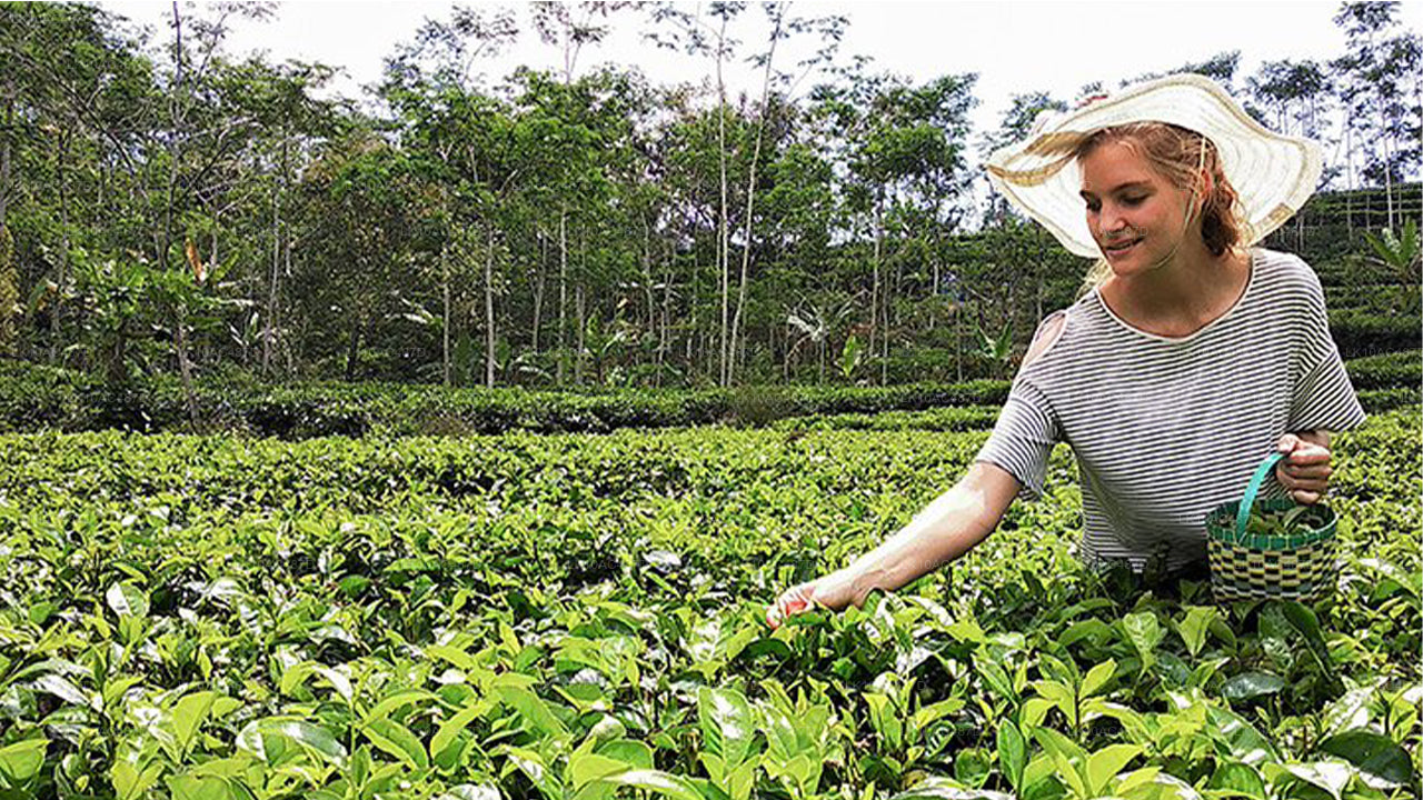 Udržitelný zájezd (10 dní)