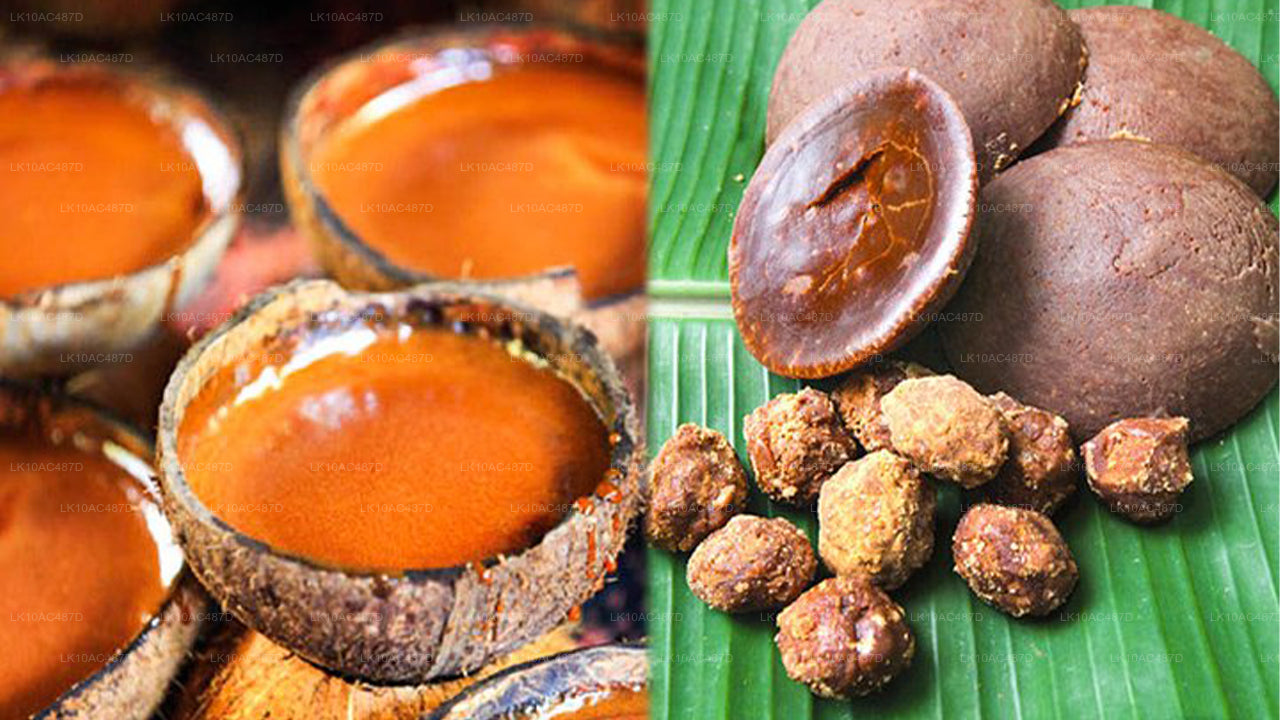 Udržitelný zájezd (10 dní)