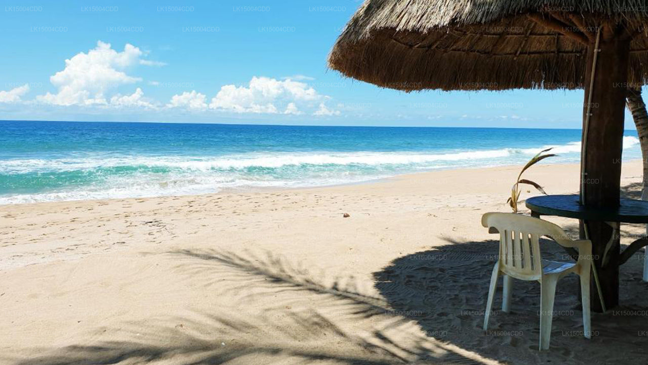 Oasey Beach Hotel, Bentota