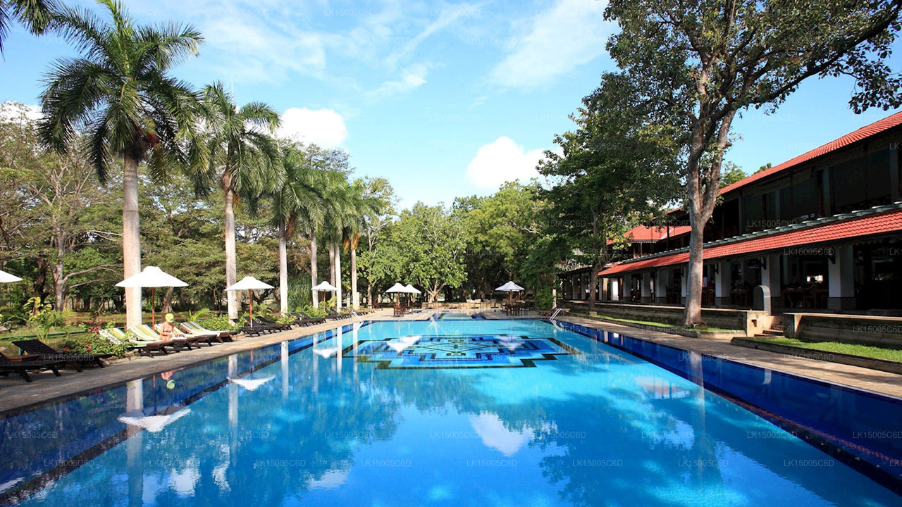 Cinnamon Lodge, Habarána