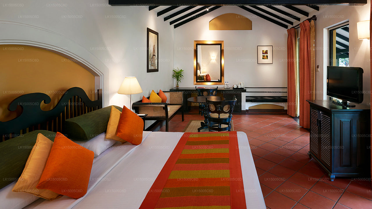 Cinnamon Lodge, Habarána