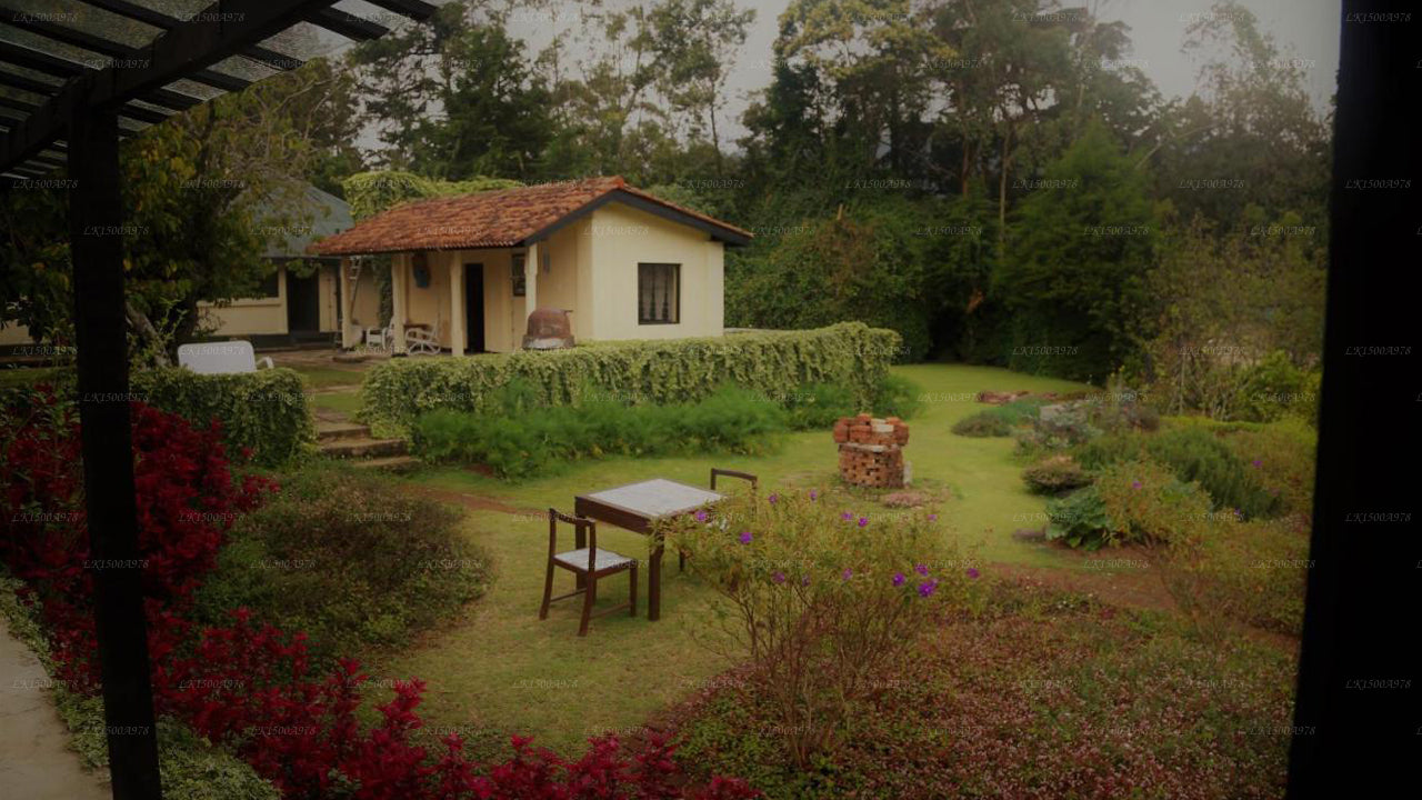 Bungalov Ferncliff, Nuwara Eliya