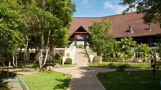 Západní ráj, Dambulla