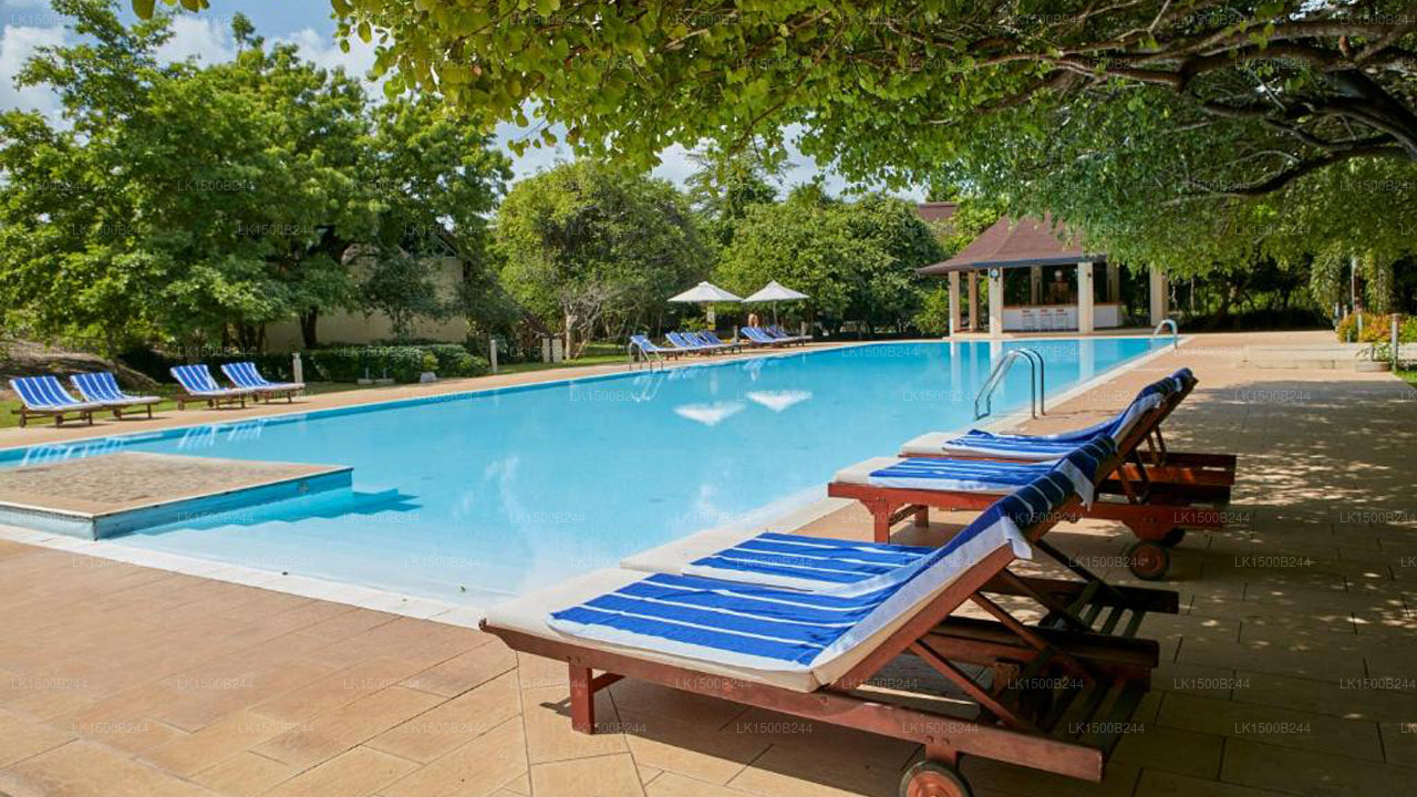 Západní ráj, Dambulla