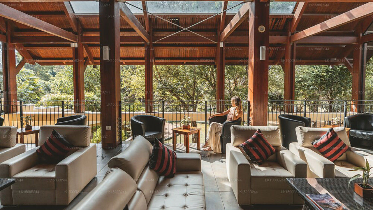 Západní ráj, Dambulla