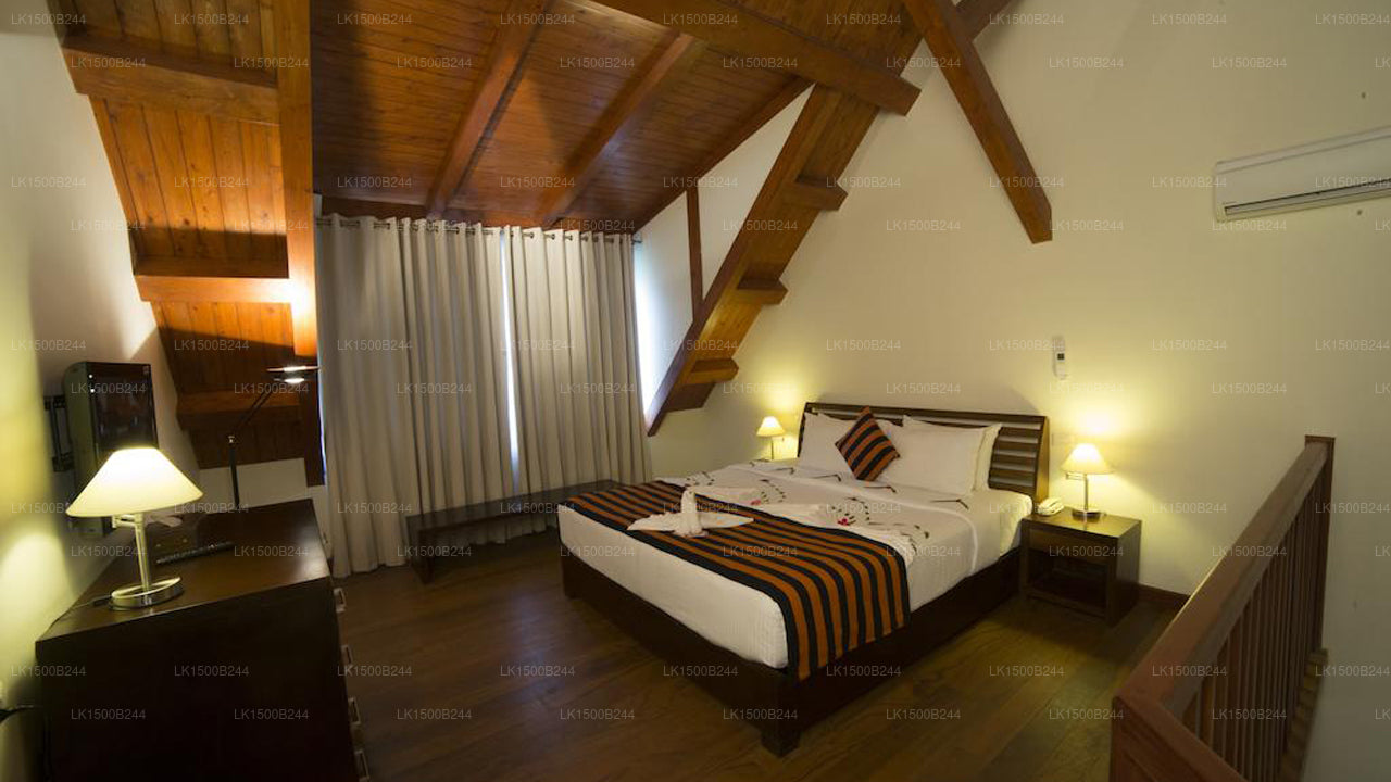 Západní ráj, Dambulla