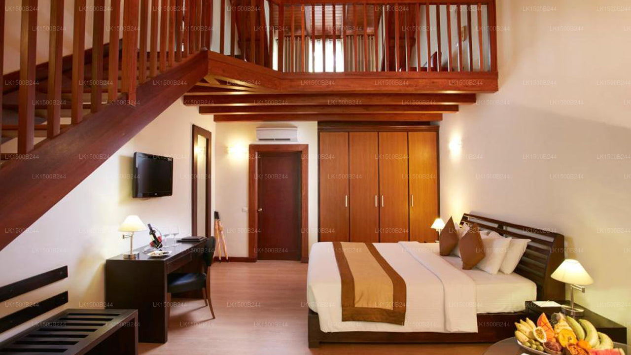 Západní ráj, Dambulla