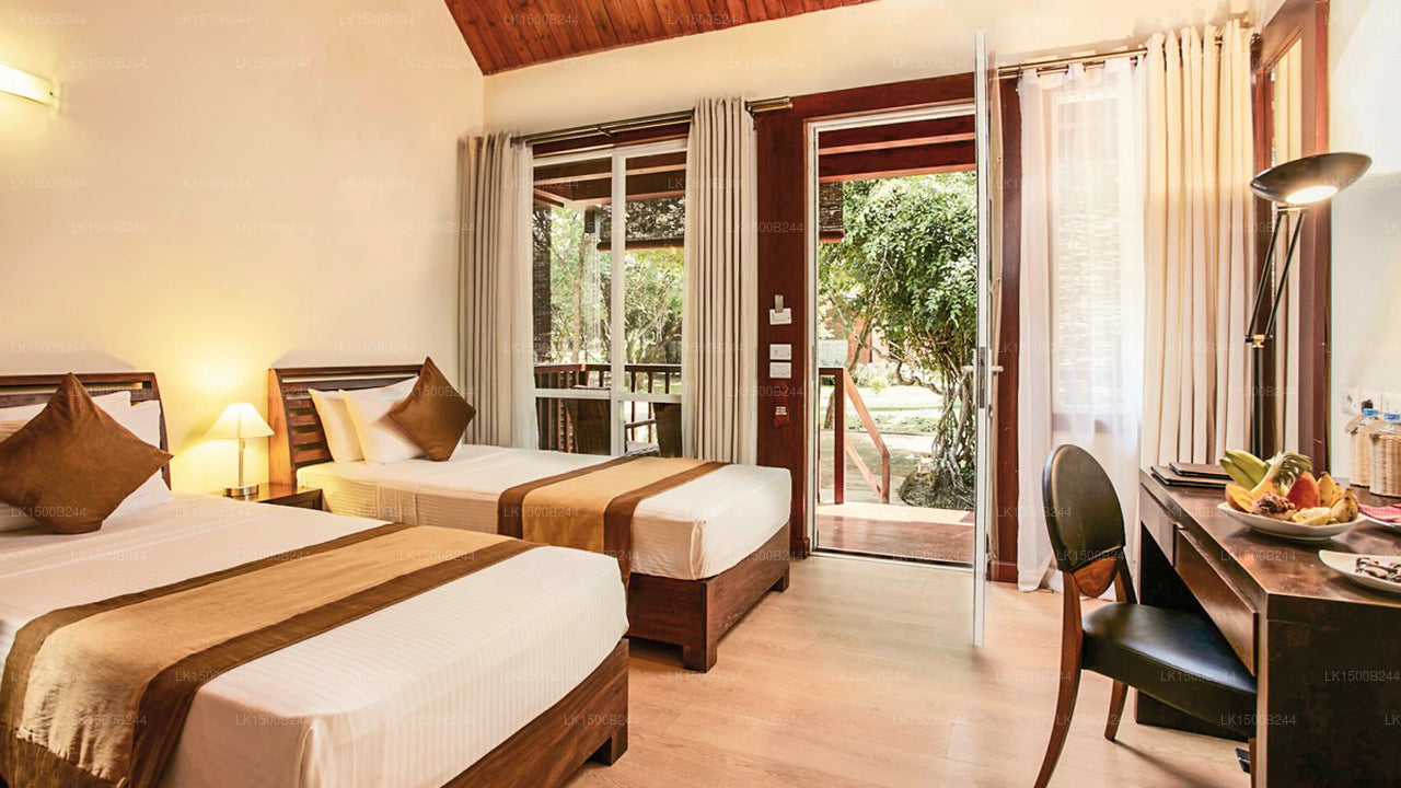 Západní ráj, Dambulla