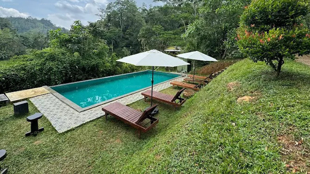 Cinnamon Valley Bungalow, Sinharaja