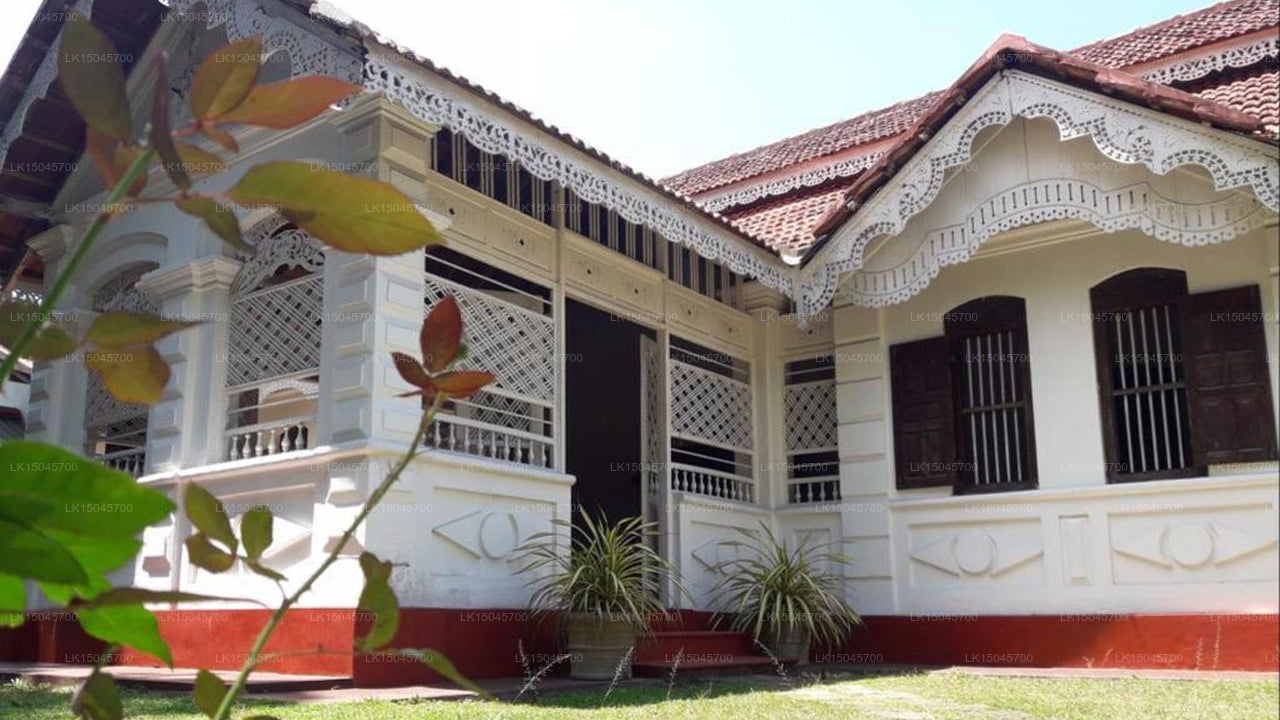 The Colony, Tangalle