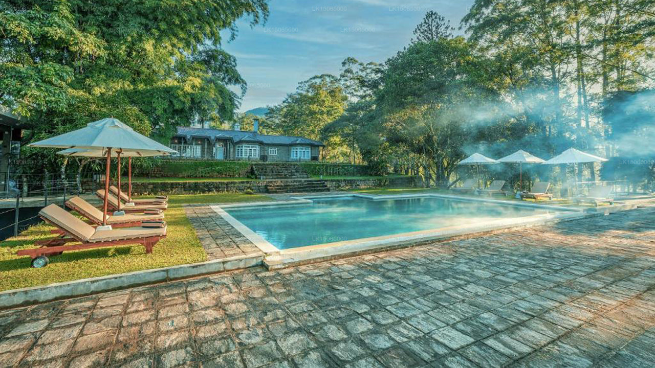 The Lavender House, Pussellawa