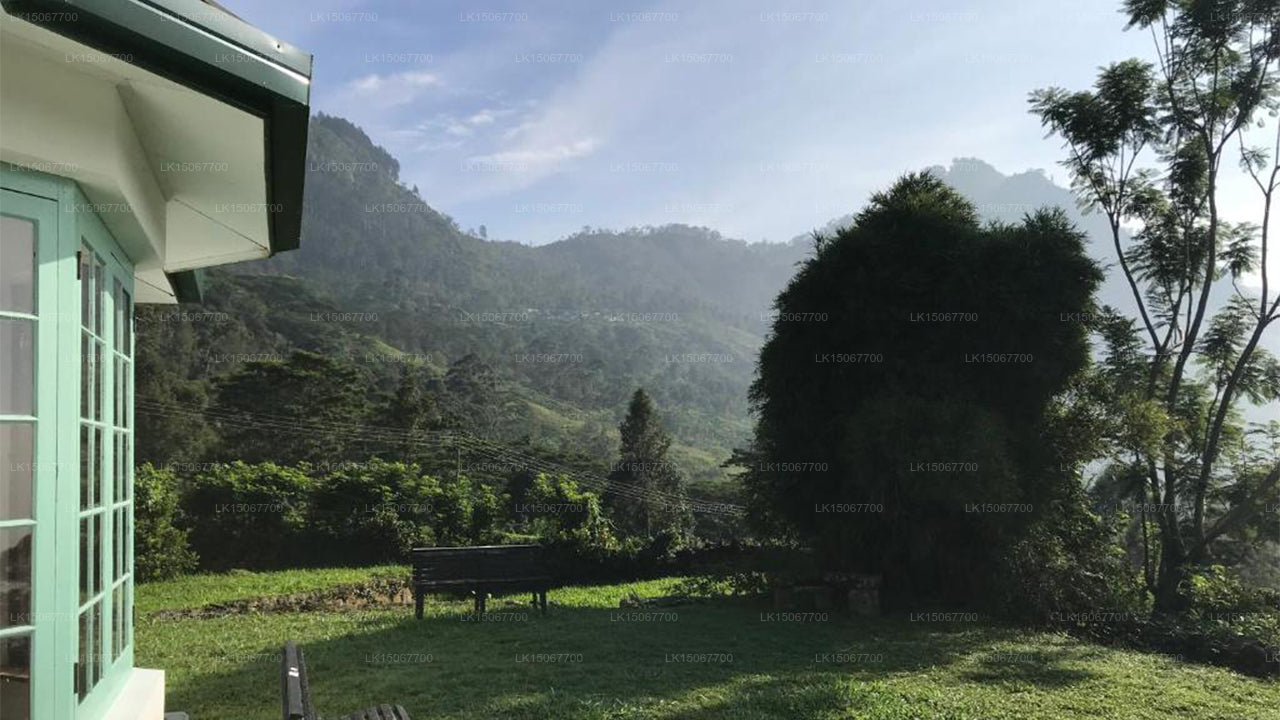 Mihidum Market, Haldummulla