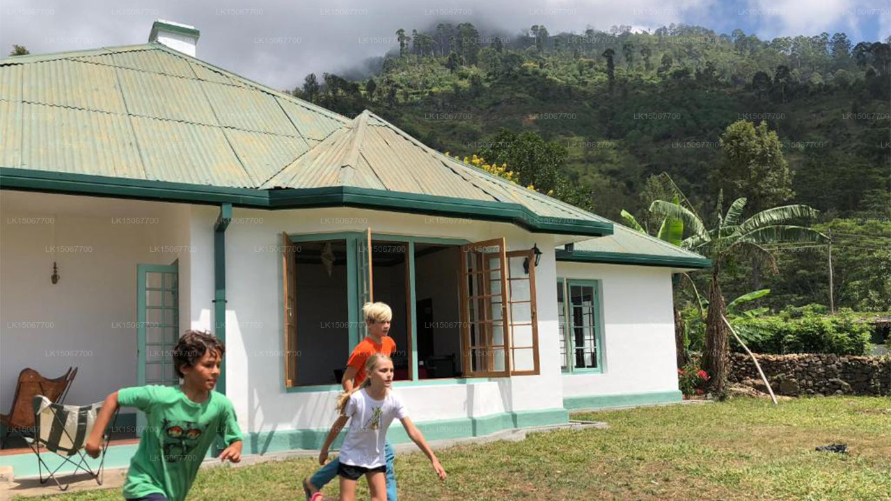 Mihidum Market, Haldummulla